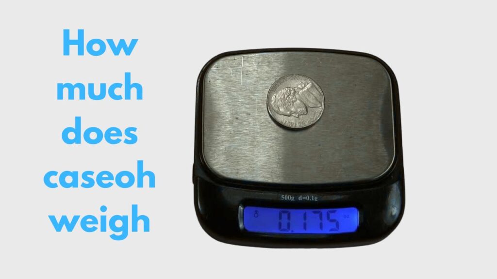 how-much-does-caseoh-weigh